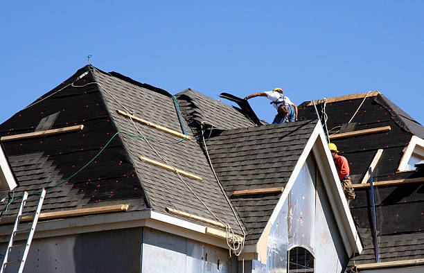 Roof Gutter Cleaning in Haymarket, VA