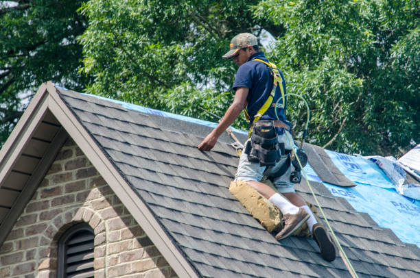 Best Flat Roof Repair Services  in Haymarket, VA